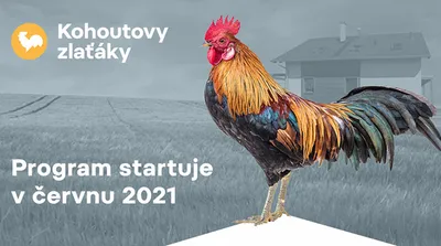 Kohoutovy zlaťáky a 3D tisk